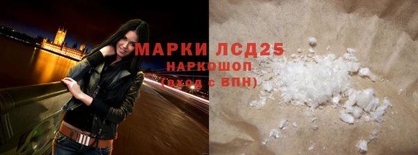 ПСИЛОЦИБИНОВЫЕ ГРИБЫ Заволжье