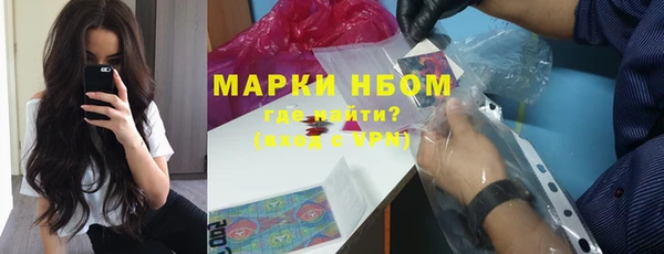 ПСИЛОЦИБИНОВЫЕ ГРИБЫ Заволжье