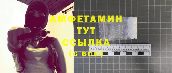 ПСИЛОЦИБИНОВЫЕ ГРИБЫ Заволжье