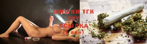 крисы Заводоуковск