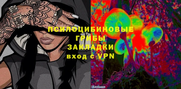 крисы Заводоуковск