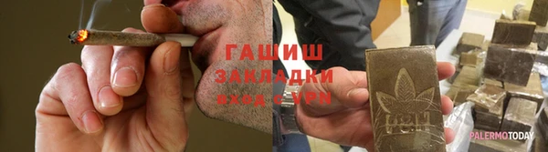 ПСИЛОЦИБИНОВЫЕ ГРИБЫ Заволжье