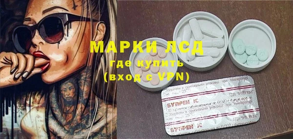 ПСИЛОЦИБИНОВЫЕ ГРИБЫ Заволжье