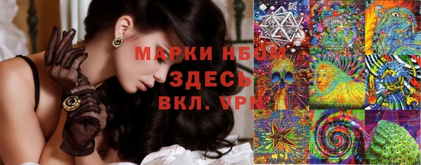 ПСИЛОЦИБИНОВЫЕ ГРИБЫ Заволжье
