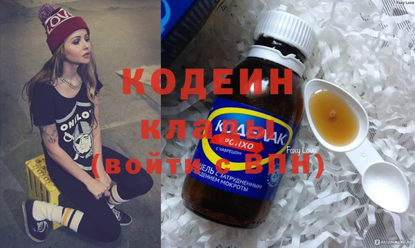 ПСИЛОЦИБИНОВЫЕ ГРИБЫ Заволжье