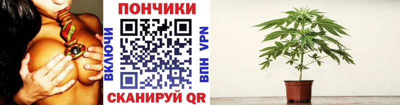 блэк спрут ссылка  Ростов  Шишки марихуана AK-47 